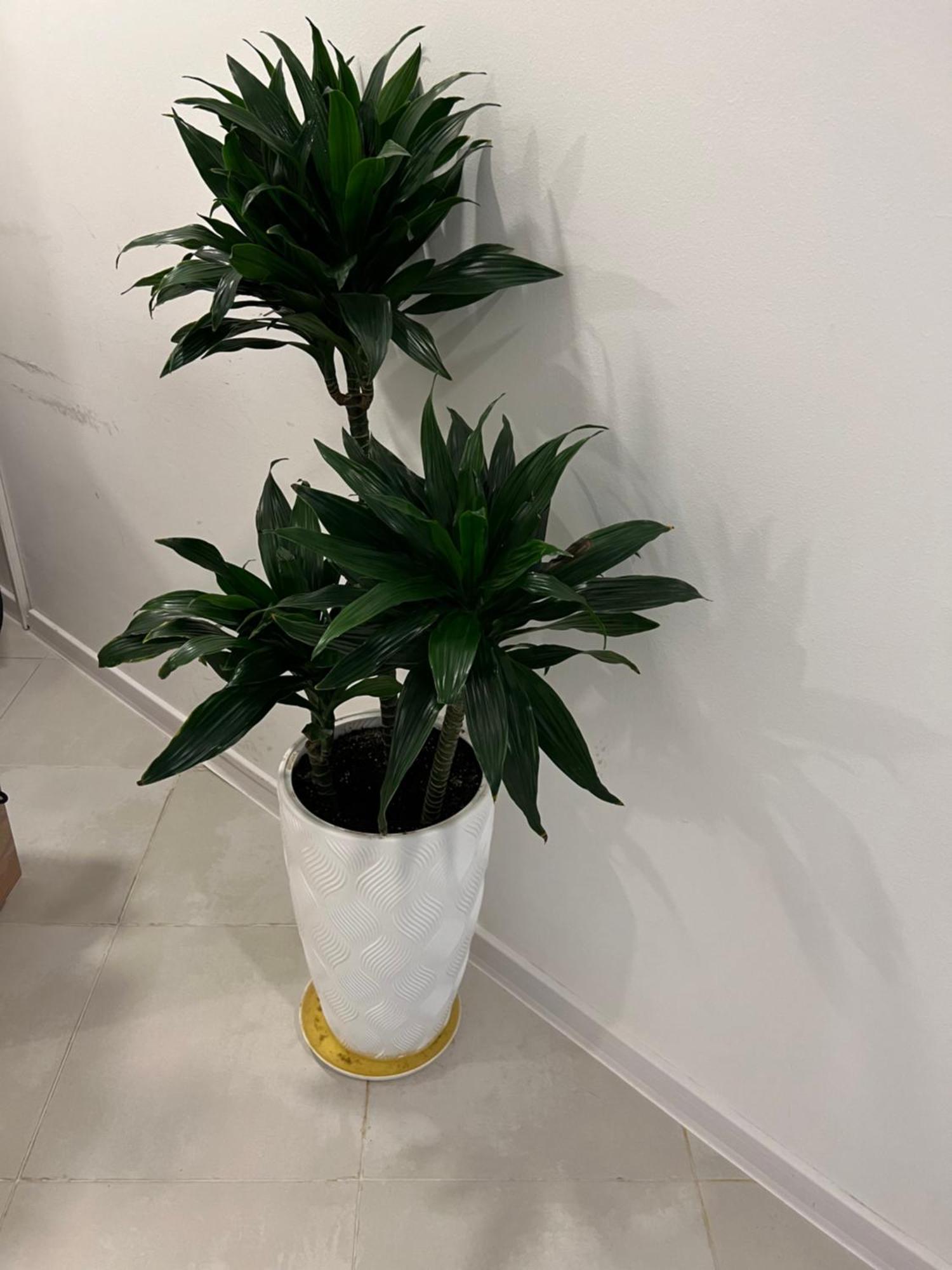 Apple Cozy Hotel Тбилиси Екстериор снимка
